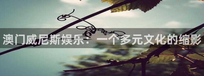 摩根娱乐