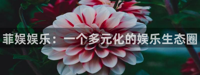 摩根娱乐