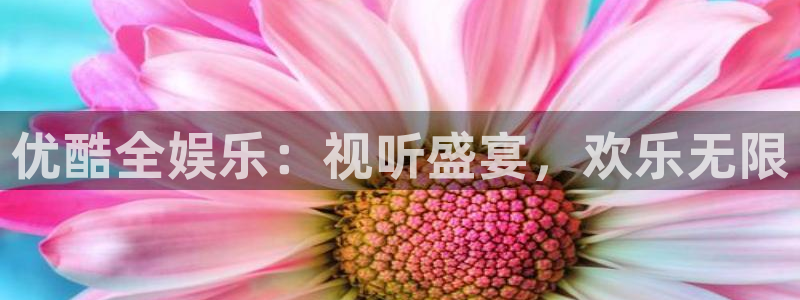 摩根娱乐