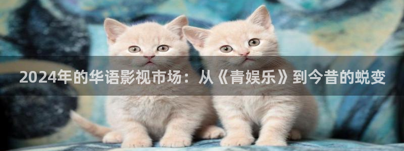 摩根娱乐