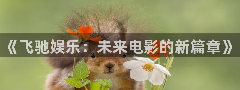 摩根娱乐