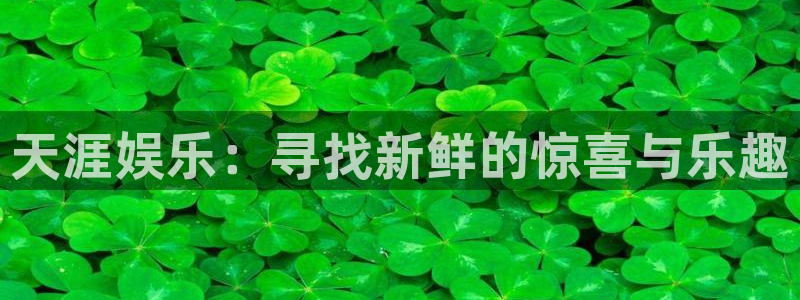 摩根娱乐